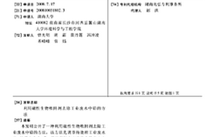 利用磁性生物吸附剂去除工业废水中铅的方法
