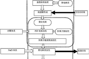 自组装高盐高氨氮废水纳滤分离膜的制备方法