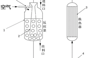采用回路反应器进行含酚废水的处理方法