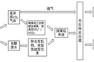 利用活性微藻耦合处理发酵排放废气与废水的方法