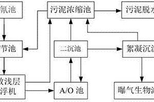 煤制醇废水的处理装置及工艺