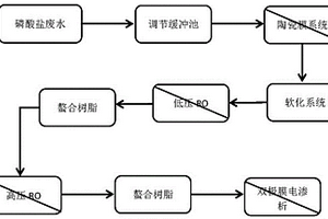 由磷酸盐废水制备磷酸和碱的工艺