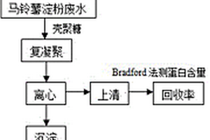 从马铃薯淀粉加工废水中回收糖蛋白的方法