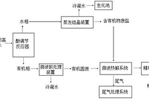 用于含苯酚钠的高盐有机废水无害化处理装置
