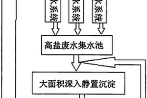 高盐废水沉淀除盐循环利用工艺