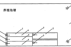 超高密度工业化池塘生态养殖系统及其调控方法