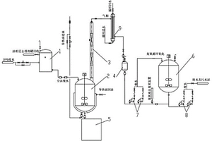 IPPD废水处理系统及方法