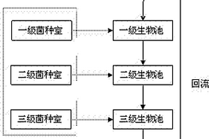 用于多级驯化酵母菌去除废水COD的处理系统及工艺