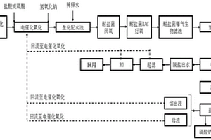高盐高有机物化工废水的资源化处理系统及处理方法