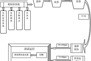 强化处理工业高含酚废水的方法