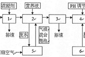 精炼制糖工业废水处理装置