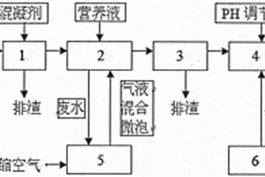 精炼制糖工业废水处理装置和方法