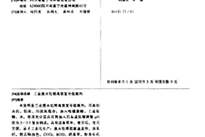 工业废水处理高效复合混凝剂