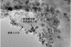 用于去除工业废水中重金属离子和有机物的改性四氧化三铁纳米复合物及制备方法