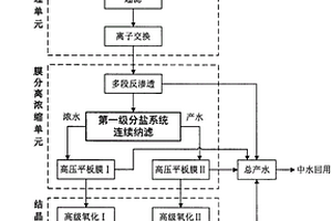 高含盐工业废水分盐零排放系统