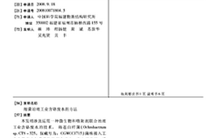 细菌治理工业含铬废水的方法