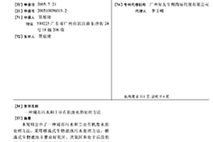 城市污水和工业有机废水的处理方法