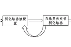 自养异养交替混合培养的苦盐水微绿藻及其在苦咸工业废水处理中的应用