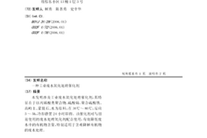 工业废水氧化处理催化剂