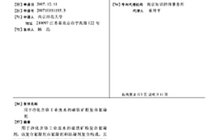 用于净化含铬工业废水的磁铁矿粉复合絮凝剂