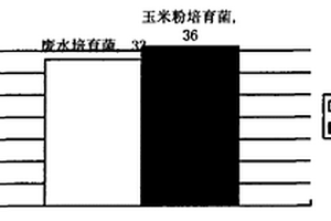利用酒精废水发酵生产印染废水染料专属生物脱色菌剂的方法