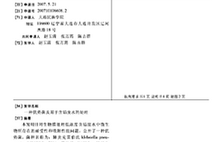 优势菌及用于含铅废水的处理