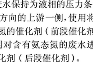 废水处理用催化剂和使用该催化剂的废水处理方法
