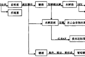 从黄姜加工到废水处理一体化工艺