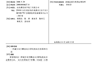 减少双甘膦废水并降低废水含盐量的方法