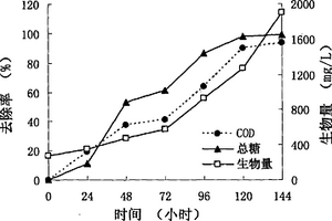 利用一株光合细菌处理淀粉废水并实现废水资源化的方法