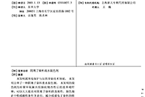 阴离子染料废水脱色剂