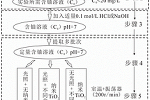 采用TiO<Sub>2</Sub>吸附-光催化还原处理含铀废水的方法