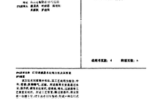 红烟硝酸废水处理方法及其装置