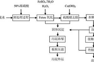 DPT生产废水处理工艺
