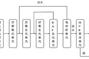 硫酸钠废水的处理装置及资源化方法