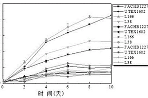 混合废水在小球藻培养中的应用及培养方法