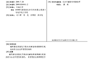 磁性催化剂强化下铁内电解处理难降解有机废水的方法及所使用的填料