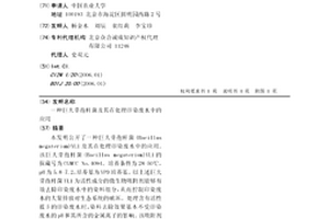 巨大芽孢杆菌及其在处理印染废水中的应用
