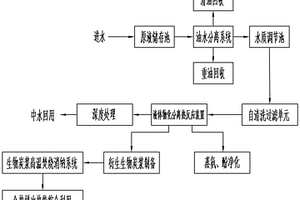 高浓度废水无害化资源利用工艺方法