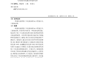 强化处理低C/N比废水的An/O型复合人工湿地系统