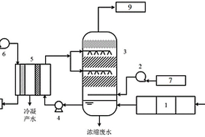 脱硫废水热法与膜法耦合浓缩系统及方法