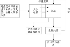 电解-渗透萃取-生物耦合技术处理高盐难降解有机废水的装置及方法