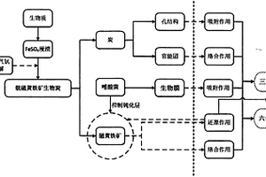 基于磁黄铁矿生物炭负载嗜酸菌生物膜处理六价铬废水的方法