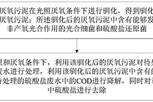硫酸盐有机废水的光照厌氧处理方法及装置