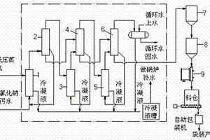 含氯化钠的废水的处理系统及其处理方法