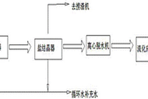 处理火电厂高盐废水的结晶制盐系统