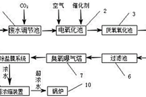 基于电氧化的印染废水零排放处理装置