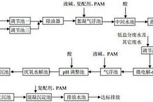 有机高盐分废水处理系统