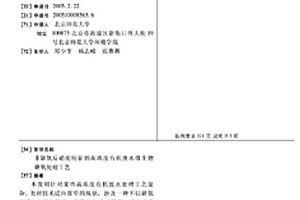 非缺氧反硝化特征的高浓度有机废水微生物缺氧处理工艺