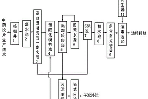 中药饮片生产废水的处理工艺